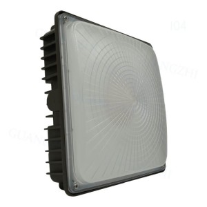 Sales Promotion Luminous CNG Square Dark Grey CE RoHS 40W-120W Gas Canopy LED Lights for Petrol Pump