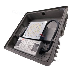 Sales Promotion Luminous CNG Square Dark Grey CE RoHS 40W-120W Gas Canopy LED Lights for Petrol Pump